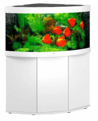 notre sélection d'aquariums angle