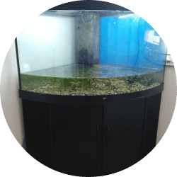 maintenance et entretien