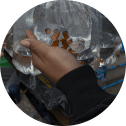 installation et l’entretien de votre aquarium