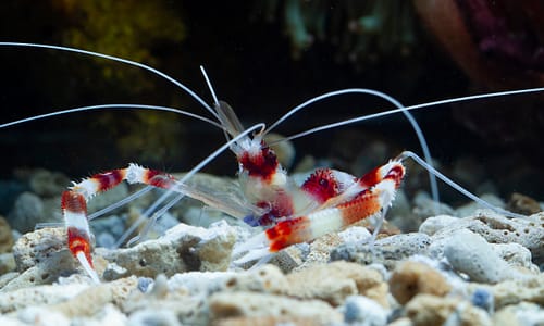 maintenance et entretien